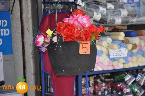 present shop 7234 (2).JPG